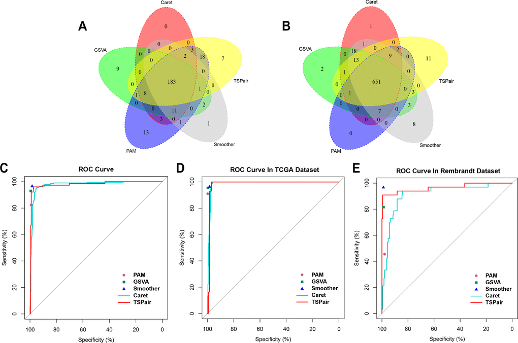 Comparing the sensitivity, specificity and accuracy of five algorithms. (A) Overlap among of the 1p/19q co-deleted samples found by five methods. (B) Overlap among of the 1p/19q intact samples found by five methods. (C) Comparing the sensitivity and specificity of five algorithms in predicting 1p/19q status in 914 samples. (D) Comparing the sensitivity and specificity of five algorithms in predicting 1p/19q codeletion in TCGA dataset. (E) Comparing the sensitivity and specificity of five algorithms in predicting 1p/19q codeletion in Rembrandt dataset.