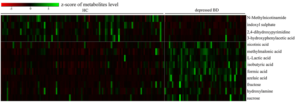 Heatmap of the 13 identified differential metabolites