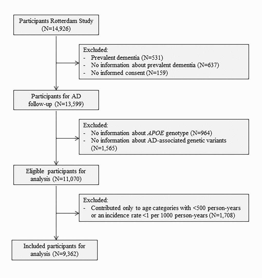 Flowchart of study population. Abbreviations: AD, Alzheimer’s disease; APOE, Apolipoprotein E.