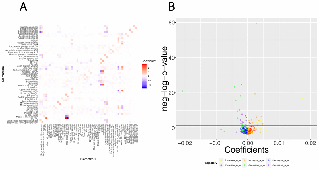 Regression coefficients: Baseline regression coefficients for the prediction of the 50 biomarkers and significance of their changes with age. (A) Heatmap of the regression coefficients on the full cohort. Each column corresponds to the 49 coefficients used to predict the values for one of the 50 biomarkers. (B) Volcano plot of the changes of the regression coefficients with age.The black horizontal line corresponds to the 0.05 significant threshold, after Bonferroni correction. The green dots are coefficients that decrease with age but remain positive. The blue dots are coefficients that decrease with age, starting positive and ending negative. The purple dots are coefficients that decrease with age and remain negative. The yellow plots are coefficients that increase with age but remain negative. The red dots are coefficients that increase with age, starting negative and ending positive. The orange dots are coefficients that increase with age and remain positive.