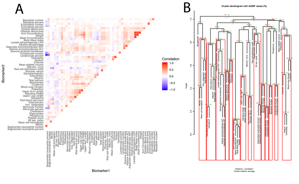 Baseline correlation structure of the biomarkers. (A) Correlation matrix of the biomarkers.The biomarkers are ordered based on their clustering. Red is associated with a positive correlation, blue with a negative correlation. (B) Hierarchical clustering of the biomarkers. For each cluster, the number in green is the bootstrap probability (BP)--the percentage of bootstraps in which the cluster was present. The number in red is called the approximated-unbiased p-value (AU). AU is a better estimation of the unbiased p-value than BP, and the red boxes circle the significant clusters, based on this criterion, with alpha=0.95 (a cluster is marked as significant if its AU is greater than 95). The number in grey is the rank of the cluster, low numbers means the clustering happened early in the process. The height is the measure of the proximity between the two clusters being merged. The height is one minus the mean correlation between the two clusters, so two perfectly correlated biomarkers/clusters cluster at height zero, and two perfectly uncorrelated biomarkers/clusters cluster at height one. The first column compares males and females, the second column compares non-Hispanic Whites and Hispanics, the third column compares non-Hispanic Whites and non-Hispanic Blacks, and the fourth column compares the two control groups.