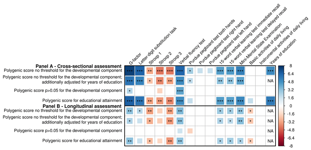 Association of genetic variants for general cognitive function with (decline in) cognition and daily functioning, and educational attainment. Association between genetic variants and cognitive performance and daily functioning at one point in time, as well as years of education, adjusted for age and sex with and without adjustment for years of education (A), and change in cognitive performance and daily functioning over time (B), additionally adjusted for baseline measurement and time between baseline and follow-up measurement. Three polygenic scores are presented: a cognition polygenic score including all independent lead variants (N=170); a cognition polygenic score only including variants with a p>0.05 for the association with the developmental component of cognition, i.e. educational attainment and intracranial volume (N=36); and an educational attainment polygenic score, which contains the lead genetic variants for cognitive performance (N=170) but uses the weights for educational attainment. Larger blocks indicate higher t-values. Higher scores indicate better performance, except for the Stroop test, the Basic Activities of Daily Living and Instrumental Activities of Daily Living. Significance levels are indicated by asterisks: *pA) or pB), adjusted for the number of independent traits as calculated through 10,000 permutations; ***p-5 (A; 0.0038/170) or p-5 (B; 0.0040/170), additionally adjusted for the number of genetic variants.