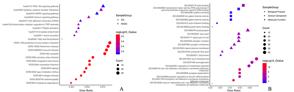 Functional annotation for DMaGs. (A) KEGG and DO analysis for DMaGs; (B): GO analysis for DMaGs.