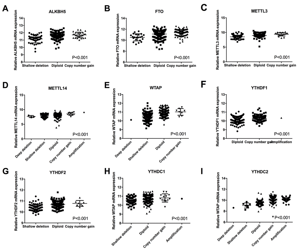 Correlation between different CNV patterns and mRNA expression levels of ten m6A regulatory genes respectively.