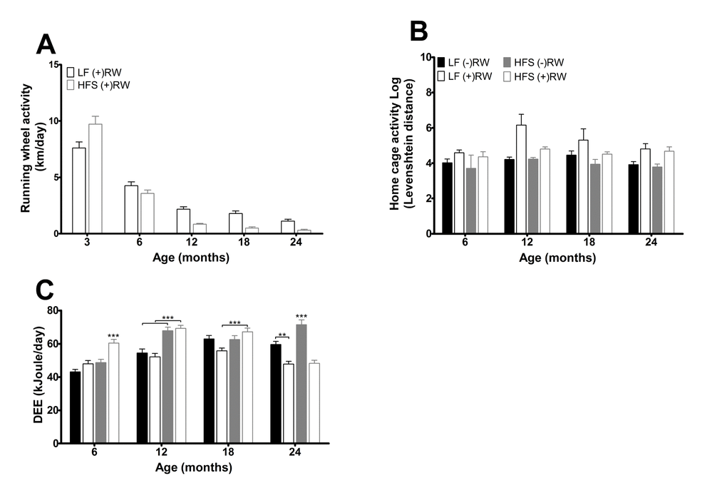 (A) Running wheel activity for the two different running wheel groups at five different time points. Activity was higher in mice on a LF diet (pB) Home cage activity for the four different groups at the four different time points. Activity was higher in mice with access to a running wheel (pC) Daily energy expenditure (DEE) for the four different groups at the four different time points. Data are averages from n=7-8 mice per group; ± SEM **p