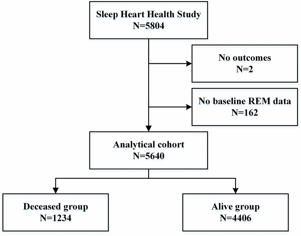 Flow chart of participant selection. A total of 5640 individuals were included in the analysis.