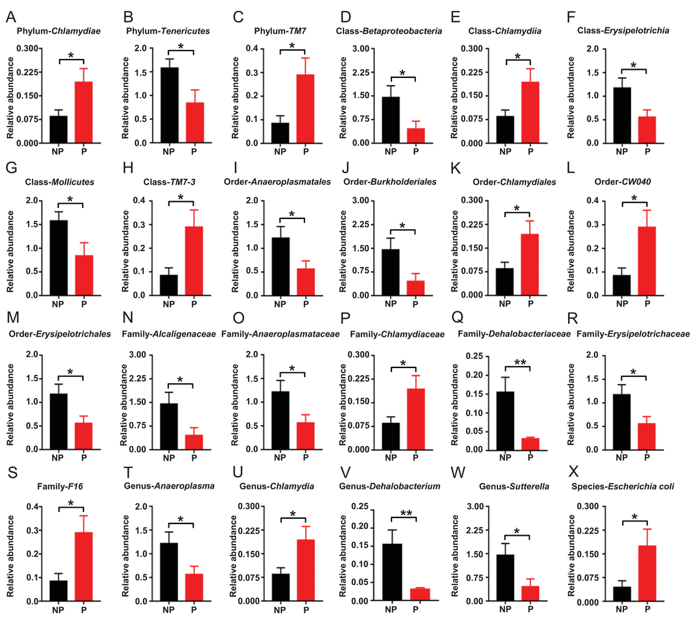 Differential levels of the gut bacterium between the non-POCD and POCD groups. (A) Relative abundance of Phylum Chlamydiae (t = 2.258, P B) Relative abundance of Phylum Tenericutes (t = 2.186, P C) Relative abundance of Phylum TM7 (t = 2.591, P D) Relative abundance of Class Betaproteobacteria (t = 2.255, P E) Relative abundance of Class Chlamydiae (t = 2.258, P F) Relative abundance of Class Erysipelotrichia (t = 2.359, P G) Relative abundance of Class Mollicutes (t = 2.186, P H) Relative abundance of Class TM7-3 (t = 2.591, P I) Relative abundance of Order Anaeroplasmatales (t = 2.208, P J) Relative abundance of Order Burkholderiales (t = 2.255, P K) Relative abundance of Order Chlamydiales (t = 2.258, P L) Relative abundance of Order CW040 (t = 2.591, P M) Relative abundance of Order Erysipelotrichales (t = 2.359, P N) Family Alcaligenaceae (t = 2.255, P O) Relative abundance of Family Anaeroplasmataceae (t = 2.208, P P) Relative abundance of Family Chlamydiaceae (t = 2.258, P Q) Relative abundance of Family Dehalobacteriaceae (t = 3.118, P R) Relative abundance of Family Erysipelotrichaceae (t = 2.359, P S) Relative abundance of Family F16 (t = 2.591, P T) Relative abundance of Genus Anaeroplasma (t = 2.208, P U) Relative abundance of Genus Chlamydia (t = 2.258, P V) Relative abundance of Genus Dehalobacterium (t = 3.118, P W) Relative abundance of Genus Sutterella (t = 2.255, P X) Relative abundance of Species Escherichia coli (t = 2.263, P 