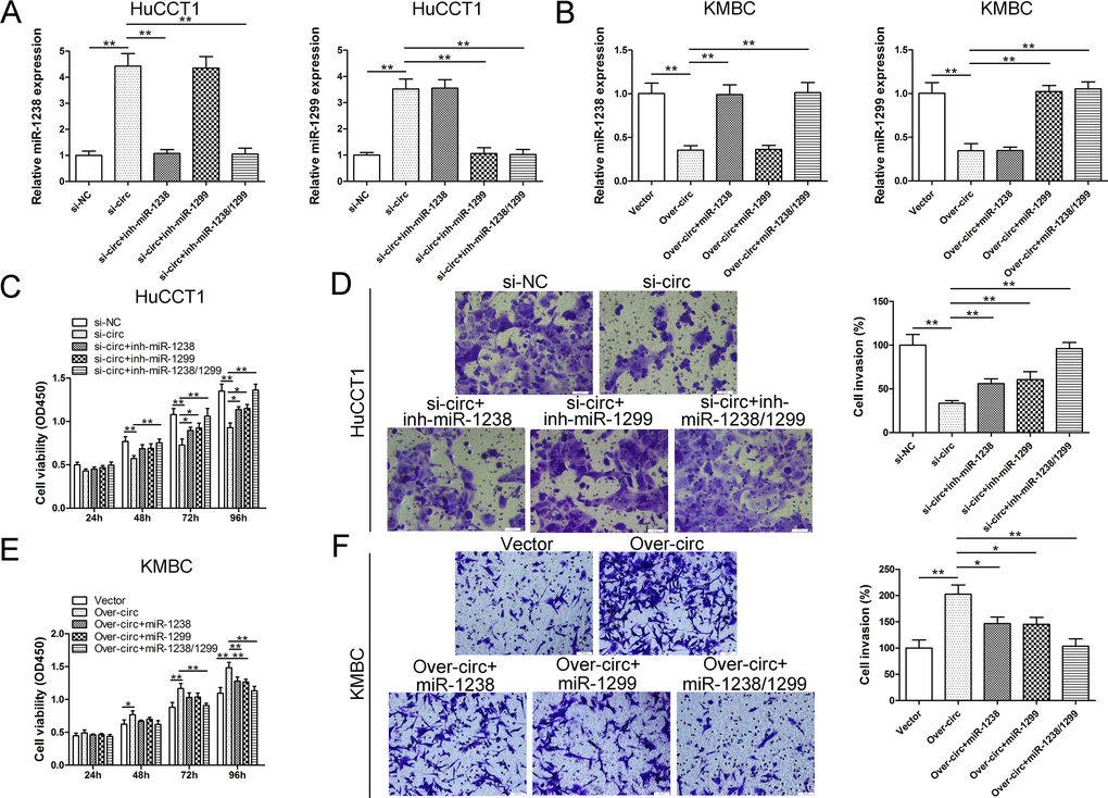 The oncogenic role of circ