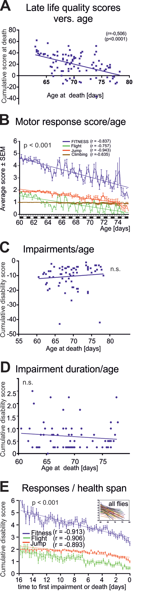 Characteristics of late-life impairments. (A) Cumulative life quality score during the last three days for each animal decreased significantly with age of death (Pearson’s correlation coefficient = 0.506; p B) Average fitness scores as obtained from the startle assay reveal a marked decline in flight (green line) and jumping (red line) responses and a moderate decrease in climbing responses with age. Overall performance score (blue, sum of all scores) decreased with age. (C) Cumulative impairment scores (sum of all negative scores for each animal with disabilities) revealed no correlation between degree of impairments and age at death (Pearson’s correlation coefficient = 0.016; p > 0.2). (D) Impairment duration did not correlate with age at death (Pearson’s correlation coefficient = -0.011; p > 0.2). (E) Cohort fitness scores decreased significantly during health-span (we started scoring healthy flies at 60 days of age. Note that the oldest fly that did not show any impairment until death was 76 day old, thus resulting in a 16 days observation period, from 60-to-76 days, see x-axis in E) (Pearson’s correlation coefficient = -0.913; p 