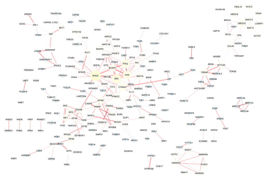 Protein-protein interaction network of genes with survival-associated alternative splicing events in papillary thyroid cancer. The bigger the point in the network, the more important it is.