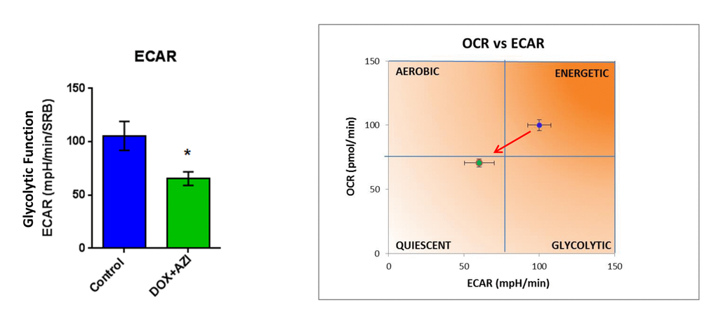 The Doxycycline-Azithromycin combination shifts MCF7 cancer cells from a highly energetic state to a metabolically quiescent state. We examined the metabolic profile of MCF7 cell monolayers pre-treated with the combination of Doxycycline (1 μM) and Azithromycin (1 μM) for 3 days, using the Seahorse XFe96 analyzer. *p 