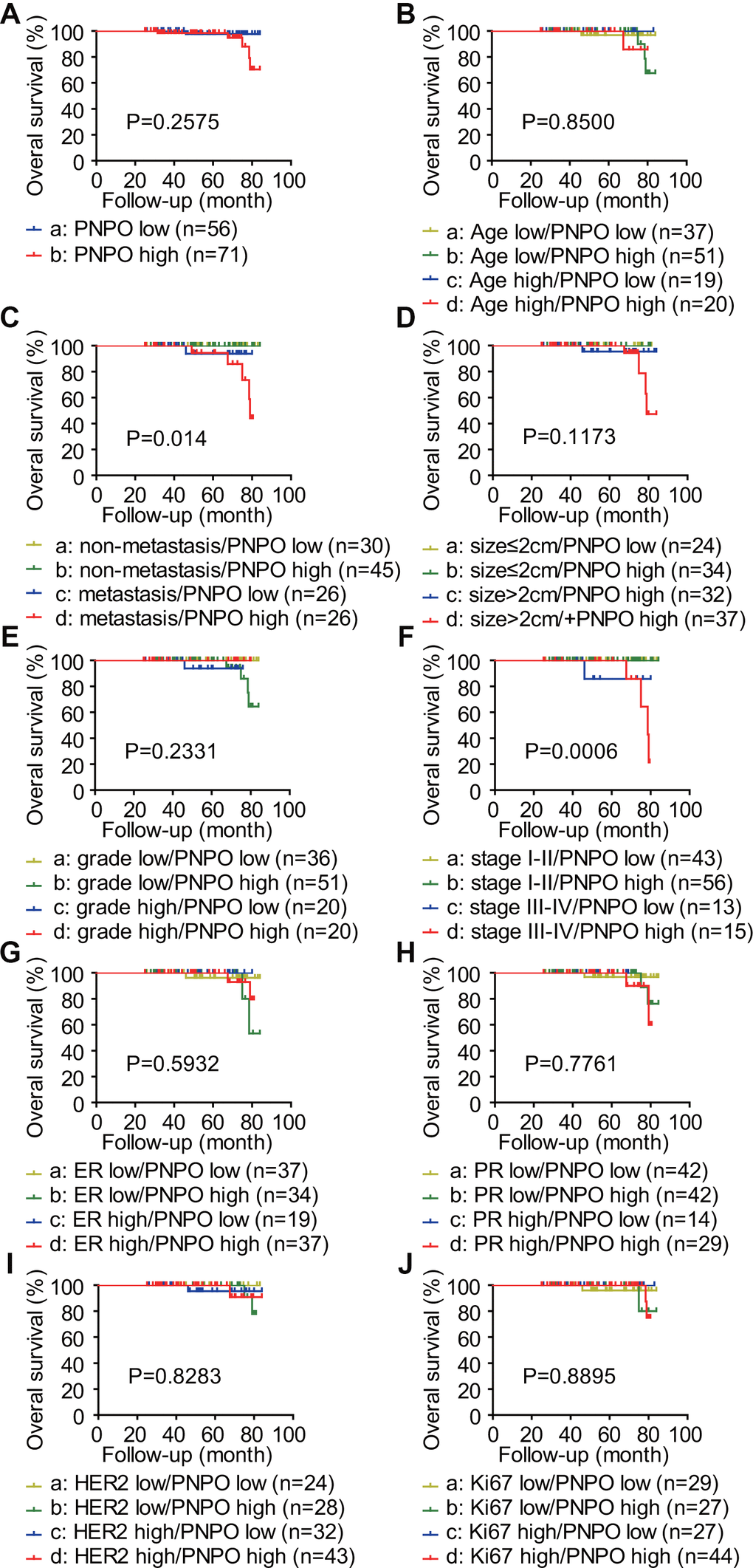 Analysis of the correlation between the expression level of PNPO and the overall survival (OS) of patients with IDC. PNPO expression was classified into two groups: PNPO low and PNPO high. The OS rate of 127 IDC patients was estimated by Kaplan-Meier analysis. The survival plots of IDC patients are shown. (A) Patients with low and high expression of PNPO. a vs. b: P=0.2575. (B) Patients with low and high expression of PNPO in age low (≤60 years) and high (>60 years) groups. a vs. b: P=0.6034; c vs. d: P=0.5127; a vs. c: P=0.5514; b vs. d: P=0.9694; a vs. d: P=0.5215; b vs. c: P=0.5442. (C) Patients with low and high expression of PNPO in non-metastasis and metastasis groups. a vs s. b: P=1.0000; c vs. d: P=0.3299; a vs. c: P=0.2024; b vs. d: P=0.0128; a vs. d: P=0.0385; b vs. c: P=0.1782. (D) Patients with low and high expression of PNPO in small (≤2 cm) and large (>2 cm) tumor groups. a vs. b: P=1.0000; vs. d: P=0.3339; a vs. c: P=0.3527; b vs. d: P=0.0459; a vs. d: P=0.1953; b vs. c: P=0.3173. (E) Patients with low and high expression of PNPO in low grade (1+2) and high grade (3) groups. a vs. b: P=0.1169; c vs. d: P=0.4070; a vs. c: P=0.2024; b vs. d: P=0.2542; a vs. d: P=1.0000; b vs. c: P=0.6708. (F) Patients with low and high expression of PNPO in early (I+II) and later (III+IV) stage groups. a vs. b: P=1.0000; c vs. d: P=0.5600; a vs. c: P=0.0253; b vs. d: P=0.0009; a vs. d: P=0.0112; b vs. c: P=0.0223. (G) Patients with low and high expression of PNPO in ER low and high expression groups. a vs. b: P=0.4315; c vs. d: P=0.4520; a vs. c: P=0.4328; b vs. d: P=0.4912; a vs. d: P=0.7461; b vs. c: P=0.3919. (H) Patients with low and high expression of PNPO in PR low and high expression groups. a vs. b: P=0.6074; c vs. d: P=0.6547; a vs. c: P=0.5514; b vs. d: P=0.4993; a vs. d: P=0.3594; b vs. c: P=1.0000. (I) Patients with low and high expression of PNPO in HER2 low and high expression groups. a vs. b: P=0.4549; c vs. d: P=0.9261; a vs. c: P=0.3404; b vs. d: P=0.8380; a vs. d: P=0.3404; b vs. c: P=0.9143. (J) Patients with low and high expression of PNPO in less (≤10) and more (>10) Ki-67 positive groups. a vs. b: P=0.9372; c vs. d: P=0.6048; a vs. c: P=0.4096; b vs. d: P=0.7686; a vs. d: P=0.9474; b vs. c: P=0.3711.