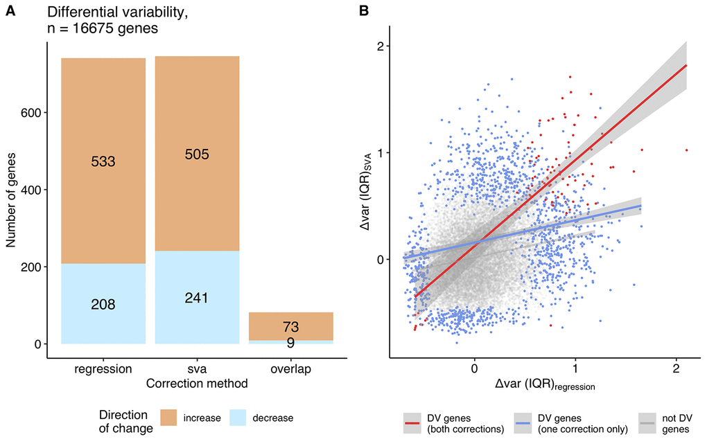 Differentially variable genes (grouped approach). (A) A bar plot of the differentially variable genes in aging identified using the grouped approach (regression, SVA correction and their overlap), direction of the change in the variability is shown in color: orange - increase in variability in aging, blue – decrease in variability (The single common gene, which shows inconsistency between approaches, is not displayed on the graph). (B) The relationship between the variability measures calculated using the grouped approach, Δvar (IQR), for regression and SVA-corrected data. Differentially variable (DV) genes identified in both corrections are highlighted in red (Spearman ρ = 0.44); DV genes identified in either regression, or SVA - in blue (Spearman ρ = 0.20); genes, that were not found to be differentially variable in any of the approaches – in grey (Spearman ρ = 0.20).