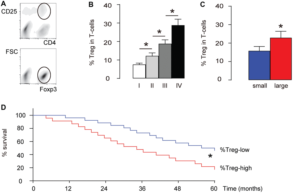 More intratumoral Treg cells are detected in high-grade, large HCCs and correlate with poor prognosis. We examined intratumoral Treg cells (CD4+CD25+Foxp3+) in total T-cells (CD4+) in 40 HCC specimens. (A) Illustration of FAC soring of CD4+CD25+Foxp3+ cells. First, CD4+CD25+ cells were isolated (circled gating in the upper panel), and this population was further purified for Foxp3+ cells (circled gating in the lower panel). (B) Percentage of intratumoral Treg cells in specimens with different tumor grades. (C) The median size of these 40 dissected tumors was used as a cutting point to get 20 small-size HCCs and 20 large-size HCCs. The percentage of intratumoral Treg cells in the large-size HCCs and small-size HCCs was compared. (D) The median level of %Treg was used to separate %Treg-high (n=20) from %Treg-low patients (n=20) to compare their overall five-year survival. *p