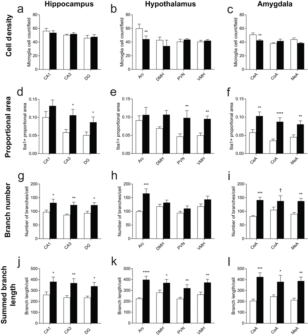 Morphology measurements across hippocampus, hypothalamus, and amygdala nuclei. (a-c) Cell density measures from nuclei within the (a) hippocampus, (b) hypothalamus, and (c) amygdala from fields of approximately 0.187 mm2. In (b), Arc is adjusted to represent the density of cells in Arc given an equivalent field area. (d-f) Iba1 positive-staining proportional area. (g-i) Skeleton branches counted from fields of each nucleus. (j-l) Total branch length from fields of each nucleus. n=4 for SE, 5 for EE. *pppppSupplementary Table S1.