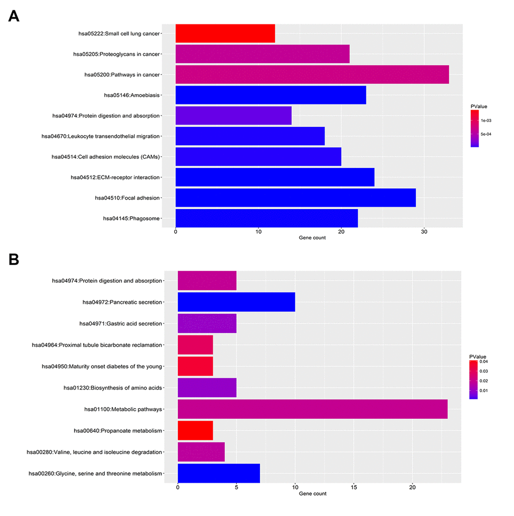 KEGG pathway enrichment analysis for the significant DEGs. (A) The top ten enriched KEGG pathways of the upregulated significant DEGs. (B) The top ten enriched KEGG pathways of the downregulated significant DEGs.