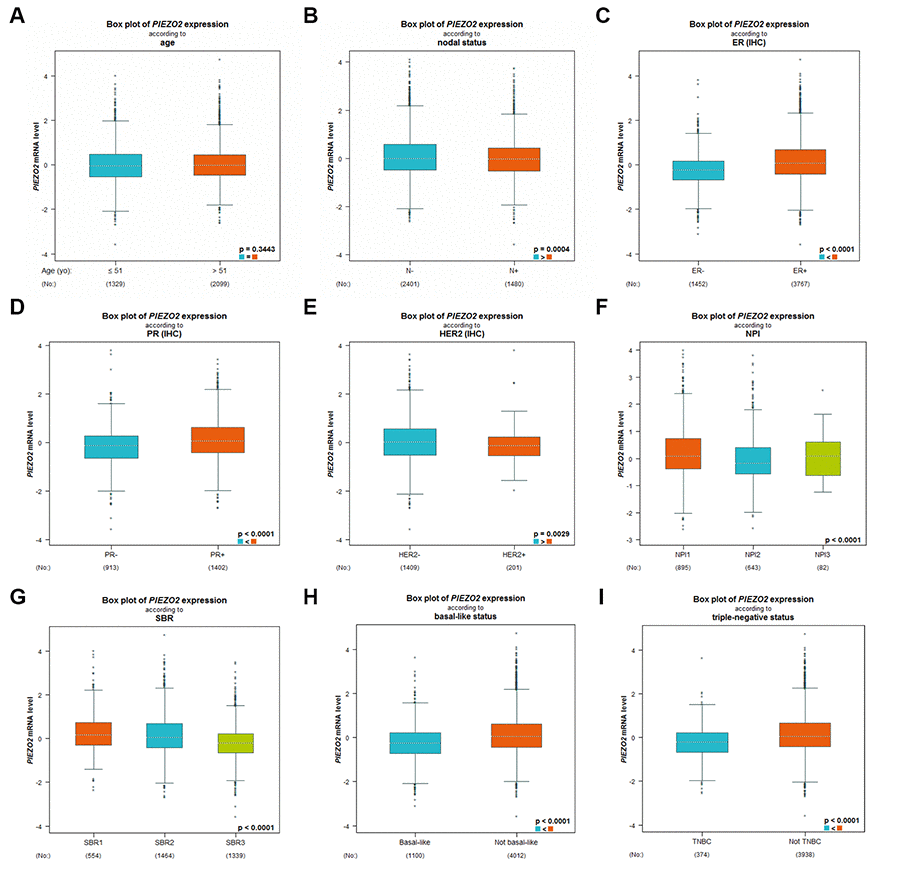 Expression differences of PIEZO2 in breast cancer patients based on different clinicopathological features, including age (A), nodal status (B), ER status (C), PR status (D), HER2 status (E), NPI score (F), SBR grade (G), basal-like status (H) and triple-negative status (I).