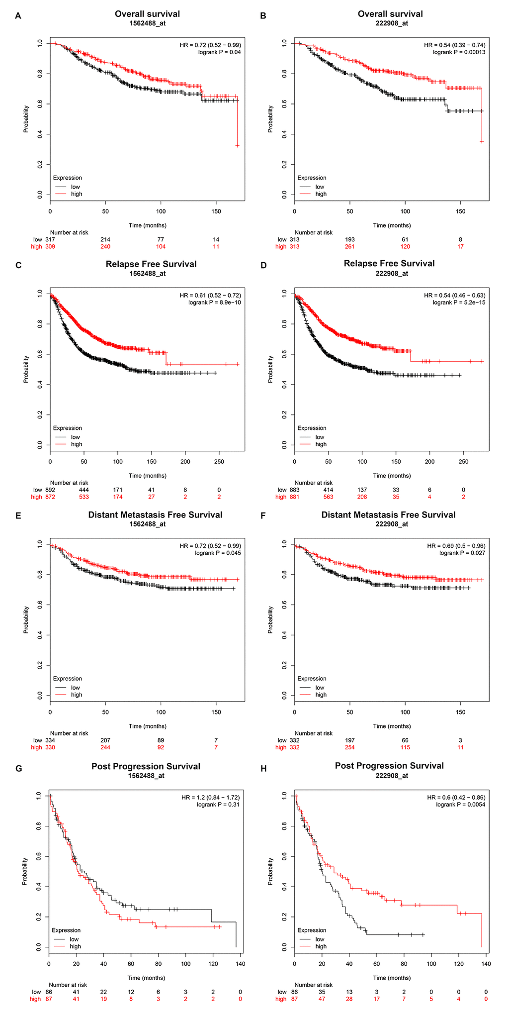 Prognostic value of PIEZO2 (Affymetrix ID are valid: 1562488