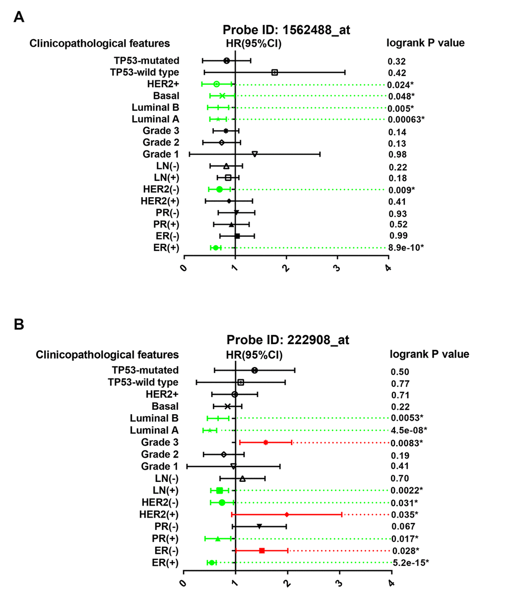 Prognostic values of PIEZO2 in breast cancer patients based on different clinicopathological features. Green bars indicate a favorable prognosis; red bars indicate an unfavorable prognosis; black bars represent no statistical significance.