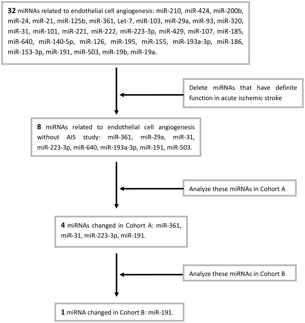 Screening process of miRNAs