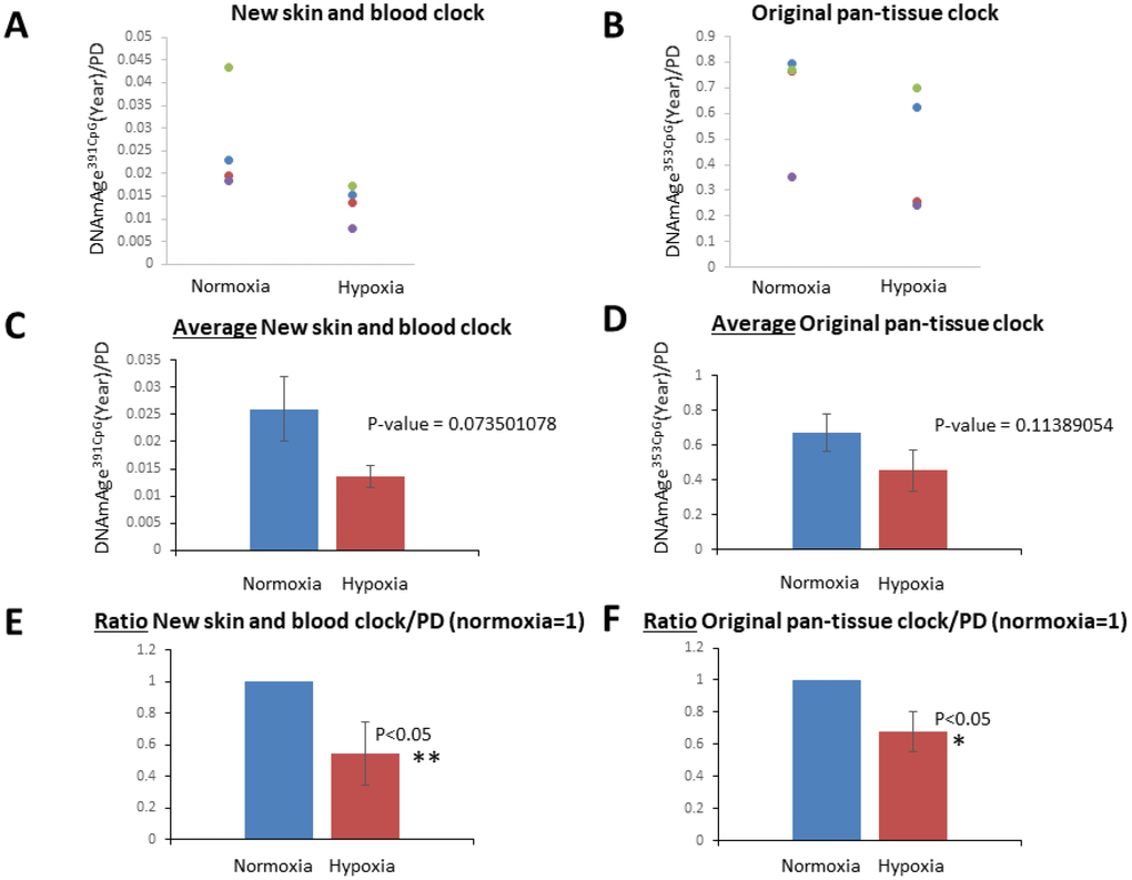 Hypoxia slowed the speed of the cell division-associated DNAm age progression. (A and B) DNAmAge391CpG/PD (A) and DNAmAge353CpG/PD (B) of each cell line in normoxia and hypoxia are shown. The result from the same cell line is marked with the same color. In all cell lines examined, hypoxia slowed the speed of DNAm age progression. (C and D) Average and S.E. of DNAmAge391CpG/PD and DNAmAge353CpG/PD are shown. (E and F) In these graphs, DNAm age/PD in normoxia is designated as 1 in all cell lines, and the ratio of DNAm age in normoxia and hypoxia was calculated. In both DNAmAge391CpG and DNAmAge353CpG, hypoxia slowed the speed of the progression of DNAm age and the effects were statistically significant (t-test).