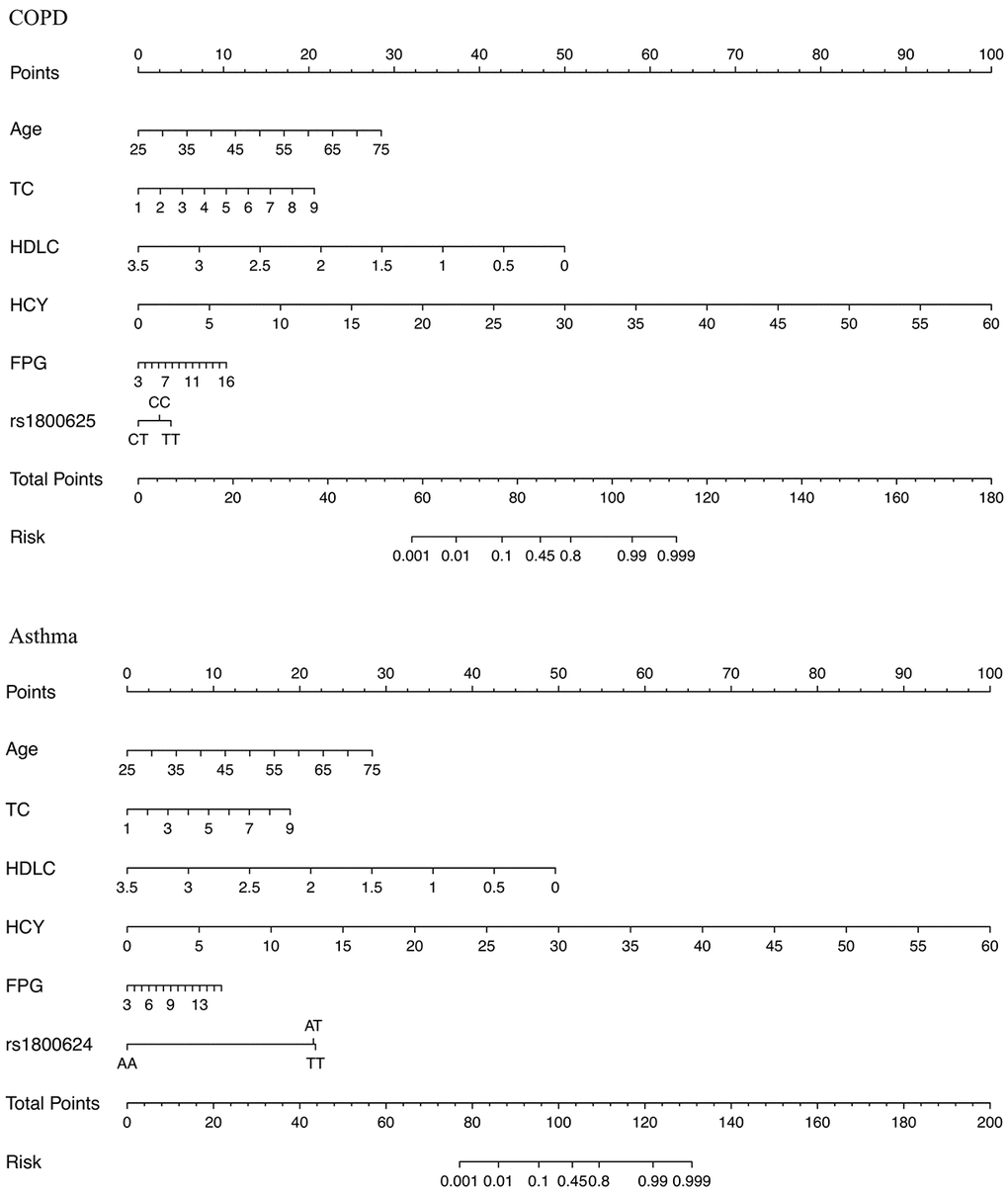 The nomogram graphs for estimating the risk of COPD (the upper panel) and asthma (the lower panel) based on significant risk factors. Abbreviations: COPD: chronic obstructive pulmonary disease; TC: total cholesterol; HDLC: high-density lipoprotein cholesterol; HCY: homocysteine; FPG: fasting plasma glucose. The point for each factor is summed and projected on total point line. A vertical line is projected from total point line to predicted probability bottom scale to obtain the individual probability of COPD or asthma risk.