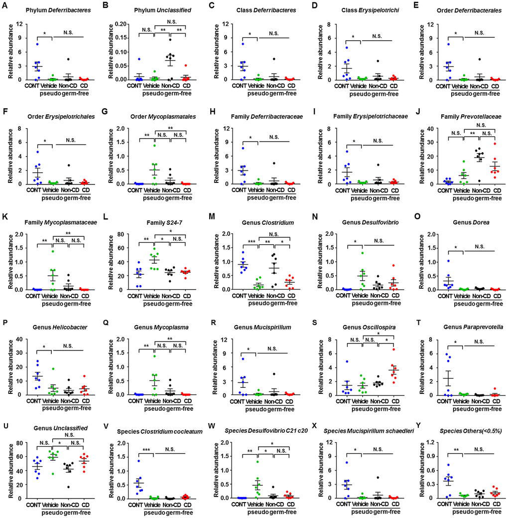 Differences in relative abundance of various gut microbes among pseudo-germ-free mice following transplantation from CD and Non-CD diabetic mice. (A–Y) Relative abundance of (A) phylum Deferribacteres (one-way ANOVA; F3,24 = 5.031, p B) phylum Unclassified (one-way ANOVA; F3,24 = 6.608, p C) class Deferribacteres (one-way ANOVA; F3,24 = 5.031, p D) class Erysipelotrichi (one-way ANOVA; F3,24 = 3.345, p E) order Deferribacterales (one-way ANOVA; F3,24 = 5.031, p F) order Erysipelotrichales (one-way ANOVA; F3,24 = 3.345, p G) order Mycoplasmatales (one-way ANOVA; F3,24 = 5.457, p H) family Deferribacteraceae (one-way ANOVA; F3,24 = 5.031, p I) family Erysipelotrichaceae (one-way ANOVA; F3,24 = 3.345, p J) family Prevotellaceae (one-way ANOVA; F3,24 = 9.825, p K) family Mycoplasmataceae (one-way ANOVA; F3,24 = 5.457, p L) family S24-7 (one-way ANOVA; F3,24 = 6.543, p M) genus Clostridium (one-way ANOVA; F3,24 = 10.32, p N) genus Desulfovibrio (one-way ANOVA; F3,24 = 3.552, p O) genus Dorea (one-way ANOVA; F3,24 = 4.82, p P) genus Helicobacter (one-way ANOVA; F3,24 = 4.677, p Q) genus Mycoplasma (one-way ANOVA; F3,24 = 5.457, p Mucispirillum (one-way ANOVA; F3,24 = 3.575, p S) genus Oscillospira (one-way ANOVA; F3,24 = 5.053, p T) genus Paraprevotella (one-way ANOVA; F3,24 = 4.656, p U) genus Unclassified (one-way ANOVA; F3,24 = 3.379, p V) species Clostridium cocleatum (one-way ANOVA; F3,24 = 12.09, p W) species Desulfovibrio C21 c20 (one-way ANOVA; F3,24 = 5.486, p X) species Mucispirillum schaedleri (one-way ANOVA; F3,24 = 3.575, p Y) species Others ( (one-way ANOVA; F3,24 = 7.748, p P P P 