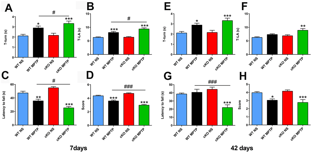 Deletion of NRSF in the brain exacerbates motor defects induced by MPTP. (A–D) Behavioral assays at 7 days after saline or MPTP administration. (A, B) Pole test results. (A) Time to turn. (B) Total time. N = 18-21. (C, D) Wire hanging test results. (C) Latency time. (D) Score. N = 16-19. (E–H) Behavioral assays at 42 days after saline or MPTP administration. (E, F) Pole test results. (E) Time to turn. (F) Total time. N = 9-12. (G, H) Wire hanging test results. (G) Latency time. (H) Score. N = 9-11. All data are means ± SEM. Differences were analyzed by one-way ANOVA. *p p p p p 