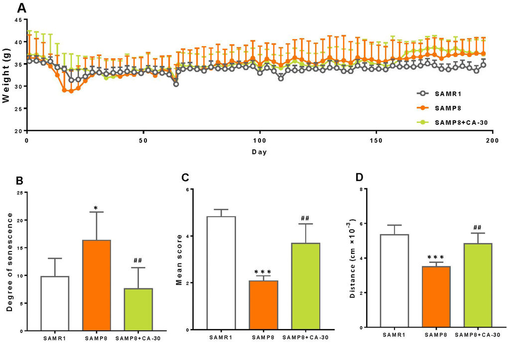 CA-30 slowed aging in SAMP8 mice. The weight (A), degree of senescence (B), nest building score (C), and spontaneous locomotor activity (D) of SAMR1, SAMP8, and SAMP8 CA-30-treated mice. *PP##Pt-tests. All values are means ± S.D. n=9-11.