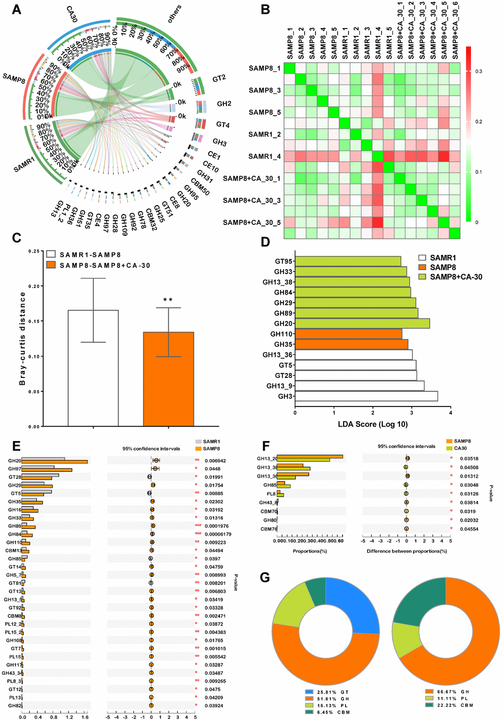 CA-30 modulated the genetic capacity for carbohydrate utilization of gut microbiota. Circos plot of the glycosyltransferases (GT), glycoside hydrolase (GH), polysaccharide lyase (PL), carbohydrate-binding module (CBM), and carbohydrate esterase (CE) families of carbohydrate degrading enzymes found in the metagenome using the carbohydrate-active enzyme (CAZy) database and percent of community abundance of the CAZy family level (A). Bray-Curtis distance heat map at the CAZy family level with the highest frequency and relative abundance, as calculated via the unweighted pair group method with arithmetic means (B) and Bray-Curtis distances among the mice (C). **Pt-tests. The most differentially abundant CAZy family in each group was identified by linear discriminant analysis scores generated via linear discriminant analysis effect size analyses (D). Comparison of the relative abundances of the dominant CAZy Family in all groups (E and F). *PPPt-tests. The ratio of significantly changed CAZy classes between the SAMR1 and SAMP8 groups and the SAMP8 and CA-30 groups (G). All values are means ± S.D. n=5-6.