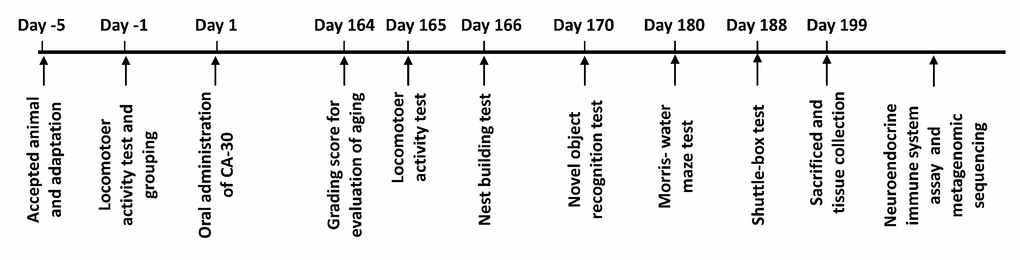 The schematic diagram of the experimental procedure.