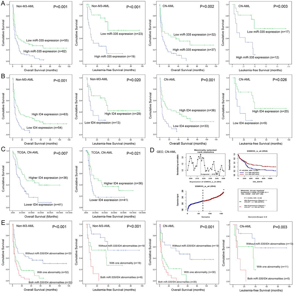 Aberrant miR-335/ID4 expression predicted clinical outcome in AML. (A) The prognostic value of miR-335 expression for OS and LFS in non-M3-AML and CN-AML patients. (B) The prognostic value of ID4 expression for OS and LFS in non-M3-AML and CN-AML patients. (C) The prognostic value of ID4 expression for OS and LFS among CN-AML patients based on TCGA databases. (D) The prognostic value of ID4 expression for OS among CN-AML patients obtained by bioinformatics analysis. The effect of ID4 expression on prognosis was determined by the Genomicscape (http://genomicscape.com/microarray/survival.php). (E) The prognostic value of combined miR-335/ID4 expression for OS and LFS in non-M3-AML and CN-AML patients.