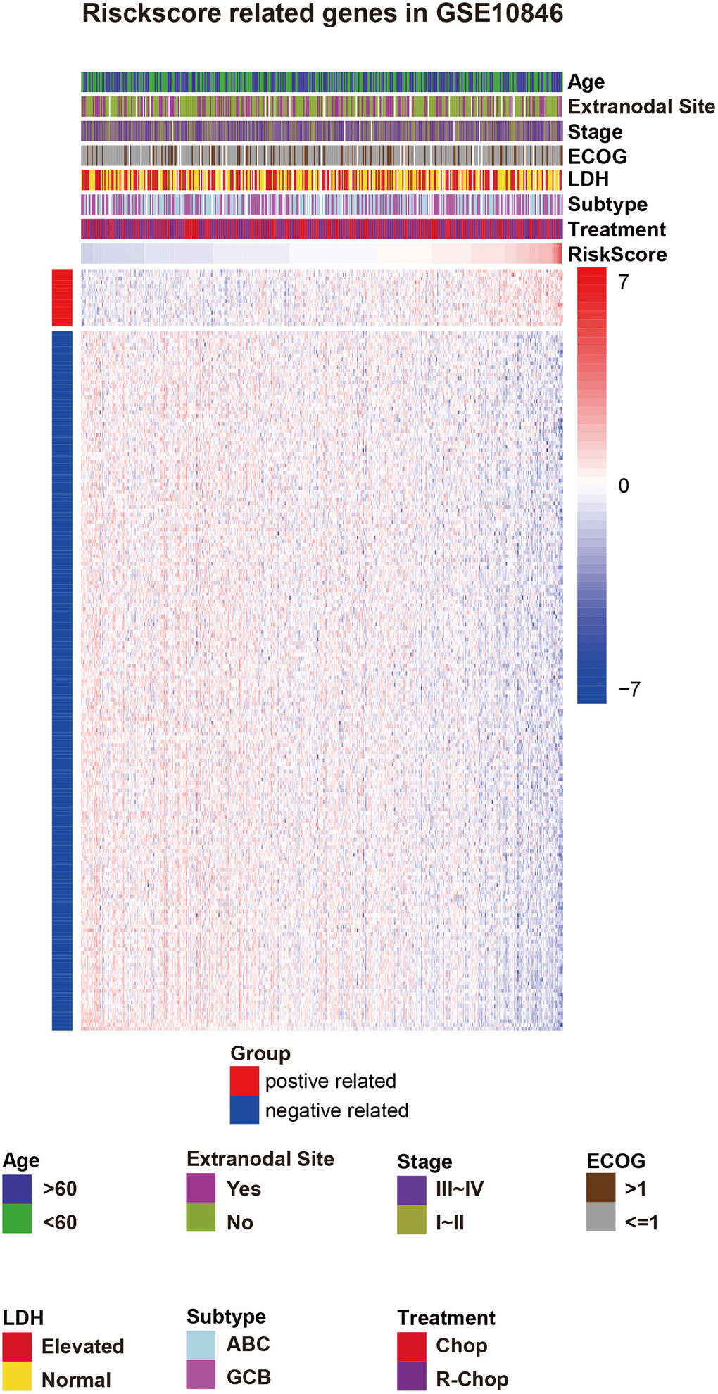 Risk score-related genes and clinical characteristics in GSE10846 patients. Abbreviations: ECOG: Eastern Cooperative Oncology Group score, LDH: lactate dehydrogenase, IPI: International Prognostic Index, ABC: activated B-cell-like, GCB: germinal center B-cell-like, CHOP: cyclophosphamide, doxorubicin, vincristine, and prednisone, R-CHOP: cyclophosphamide, doxorubicin, vincristine, and prednisone plus rituximab.