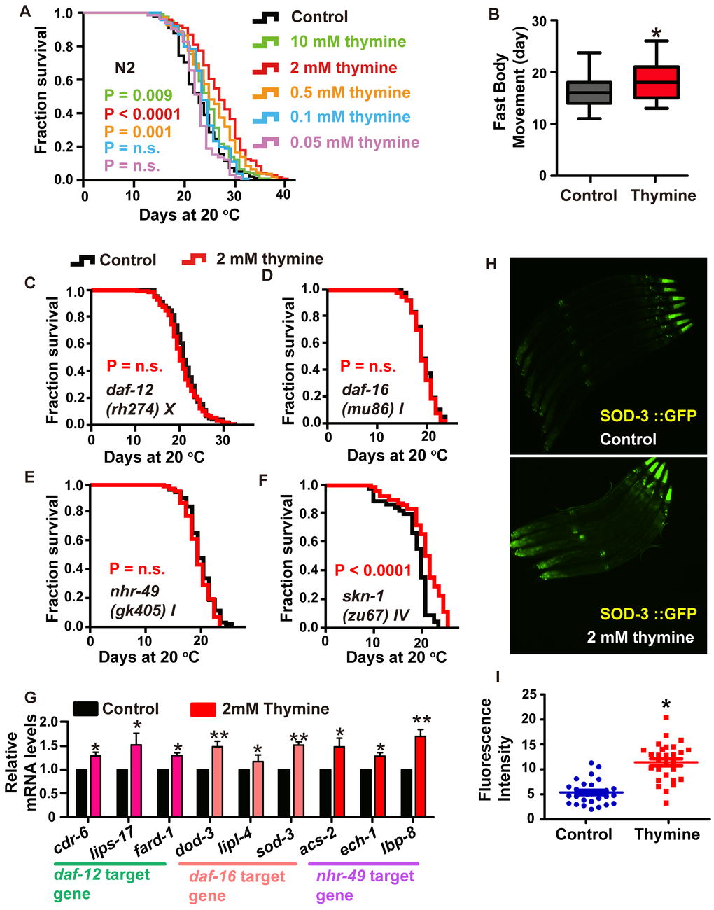 Lifespan extension induced by thymine treatment is mediated by the nuclear receptors DAF-12 and NHR-49, and the transcription factor DAF-16/FOXO. (A) Effects of thymine supplementation at increasing concentrations (0.05-10 mM) (P value determined by log-rank tests). (B) Age-related movements of worms treated with 2 mM thymine and vehicles. Data are the mean ± SD; * P C–F) Lifespan analysis in (C) daf-12 (rh274), (D) daf-16 (mu86), (E) nhr-49 (gk405), and (F) skn-1 (zu67) worms treated with 2 mM thymine (red) and vehicle (black), on heat-inactivated E. coli OP50 (P value by log-rank test). Lifespan values of replicated experiments are summarized in Supplementary Table 1. (G) QPCR analysis of the mRNA level of target genes of daf-12, daf-16 and nhr-49 in C. elegans treated with 2 mM thymine versus control. Data are the mean ± SD, n=3, * pH–I) Images and quantification of GFP fluorescence. *p 