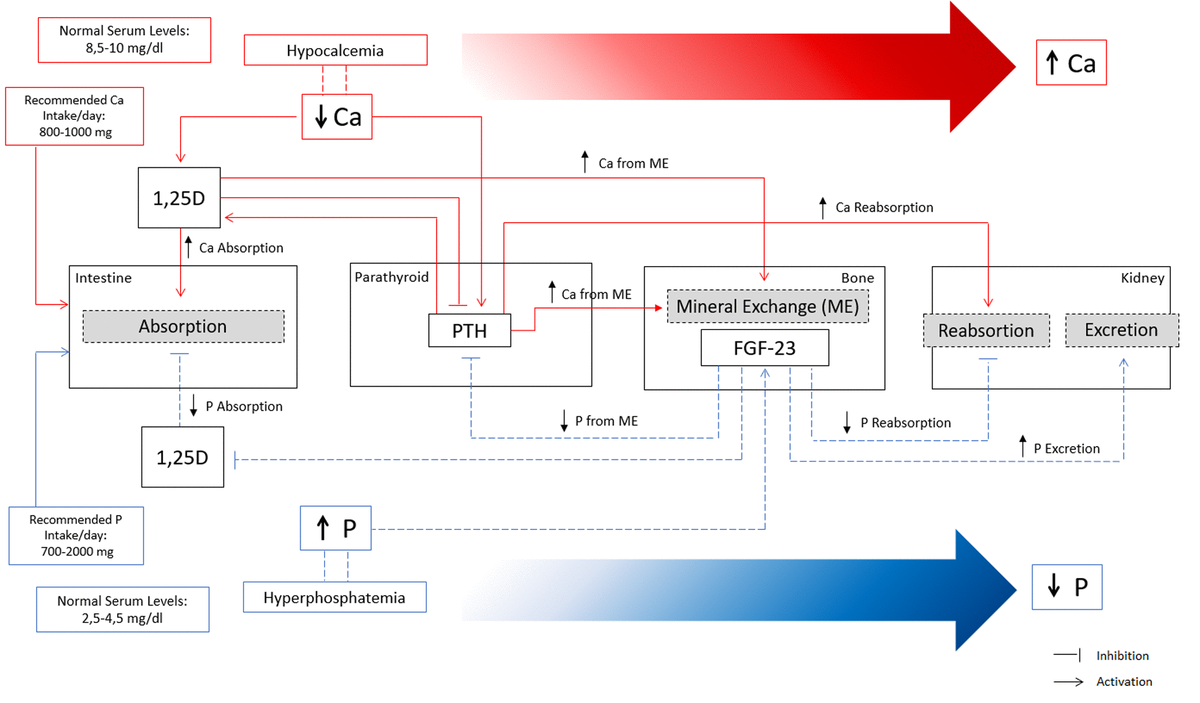 class="figure-viewer-img"