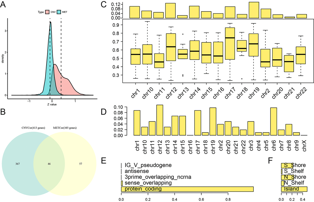 Identification of DNA copy number-correlated (CNVcor) and DNA methylation-correlated (METcor) genes in ovarian carcinoma. (A) Correlation z-value distributions for CNVcor genes and METcor genes. Density distribution is shown on the y-axis; the dotted line represents the median CNV and MET correlation coefficient values. (B) Venn diagram of overlapping CNVcor genes and METcor genes. The green area represents the 413 CNVcor genes. The yellow area represents the 103 METcor genes. The overlapping region contains 46 genes. (C) Box plot of CNVcor gene chromosomal distribution (upper figure) and correlations (lower figure). In the top image, the proportion of CNVcor genes on each chromosome (adding to a total of 1) is shown on the y-axis; in the bottom image, the correlation coefficient of CNVcor genes on each chromosome is shown on the y-axis. (D) Box plot of METcor gene chromosomal distribution. The proportion of METcor genes on each chromosome is shown on the y-axis. (E) METcor gene types. The proportion of METcor genes by type is shown on the x-axis. F: Distribution of MET loci. The proportion of types of methylated loci is shown on the x-axis.