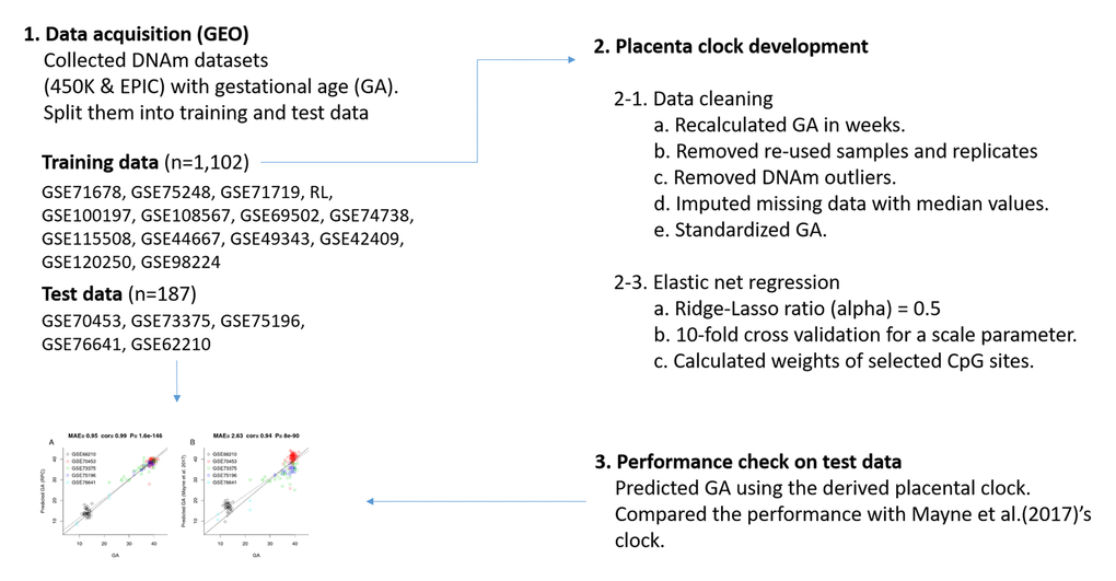 Flow chart of the RPC development