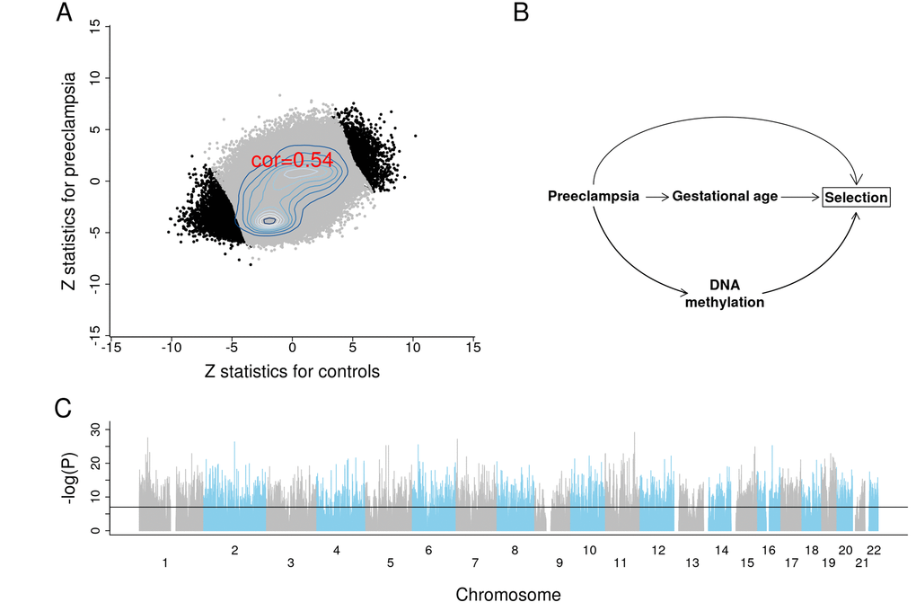 Results of EWAS and potential confounding between DNA methylation and gestational age due to selection bias. (A) Scatter plots between Z scores from controls and Z scores from preeclampsia. (B) The depicted minimal causal diagram under the null hypothesis of no effect of GA on DNAm. Here, the pregnancy condition (preeclampsia) would induce a spurious association between DNAm and GA, because preeclampsia could prompt earlier delivery (shorter GA) and influence DNAm. Note that the association between GA and DNAm is not due to a direct causal relationship between DNAm and GA. Rather, the association is confounded by preeclampsia. If the selection criteria differ substantially across studies, the placental clock models may not perform well. (C) EWAS Manhattan plot of GA.