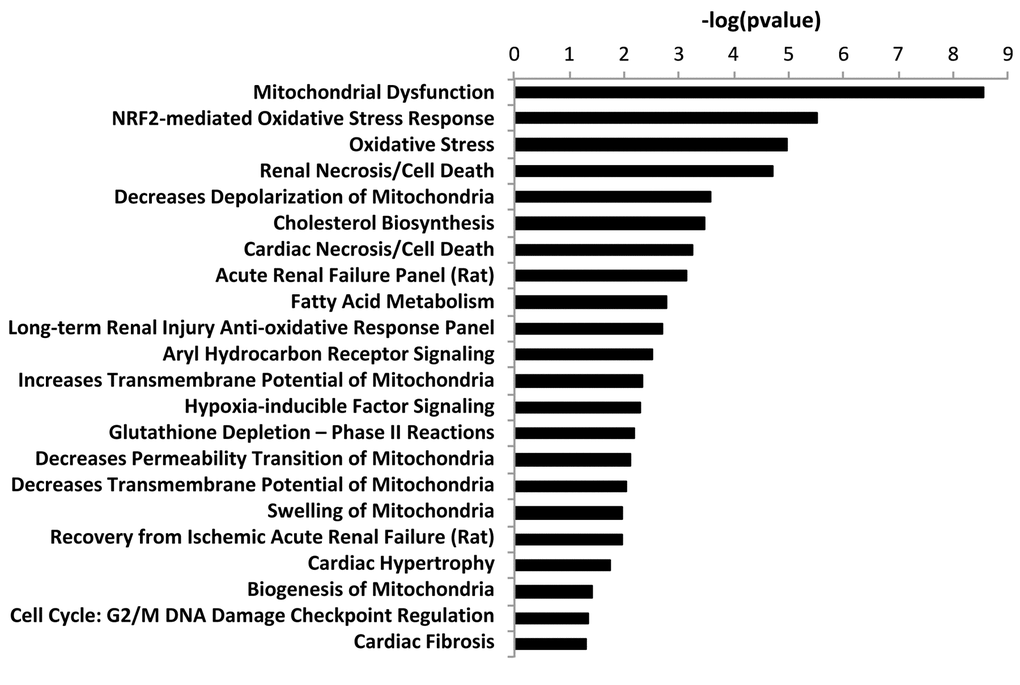 “Toxicity” effects of differentially expressed proteins in co‐cultures versus monocultures. Ingenuity Pathway Analysis showed toxicity functions significantly enriched by the proteins differentially expressed in co‐cultures (p 