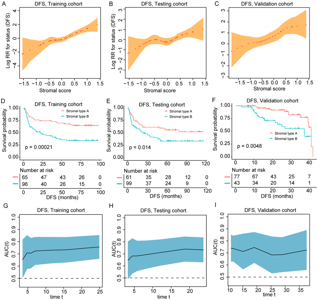 (A–C) The restricted cubic spline of the stromal score in training and validation cohorts (DFS). (D–F) Patients with stromal-type B had significantly worse disease-free survival than patients with stromal type A in training and validation cohorts. (G–I) The stromal score had acceptable predictive ability in all three cohorts. DFS, disease-free survival; RR, risk ratio; AUC, area under the receiver operating characteristic curve.