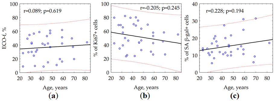 The effect of donor age on (a) colony formation (ECO-f), (b) the fraction of proliferating (Ki67 +) and (c) the fraction of senescent (SA β-gal +) skin fibroblasts.