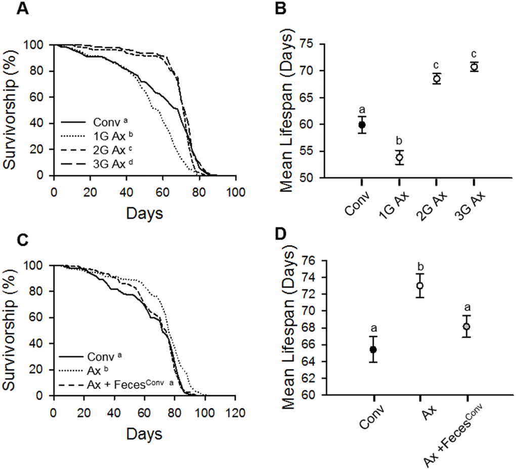 Elimination of commensal microbes by egg bleaching extends host lifespan. (A) Survival of first (1G), second (2G), and third (3G) generations of Ax flies from bleached eggs. (B) Mean lifespan of Conv fly and 1G, 2G, and 3G of Ax flies from bleached eggs. Filled dot, Conv flies; open dots, Ax flies. (C) Survival of Ax flies treated with feces from 10-day-old Conv flies. (D) Mean lifespan of Ax flies treated with feces from 10-day-old Conv flies. Black dot, Conv flies; white dot, Ax flies fed feces from Ax flies; gray dot, Ax flies fed feces from Conv (Ax + FecesConv) flies. Different letters indicate significant differences between groups. Error bars represent the SEM.