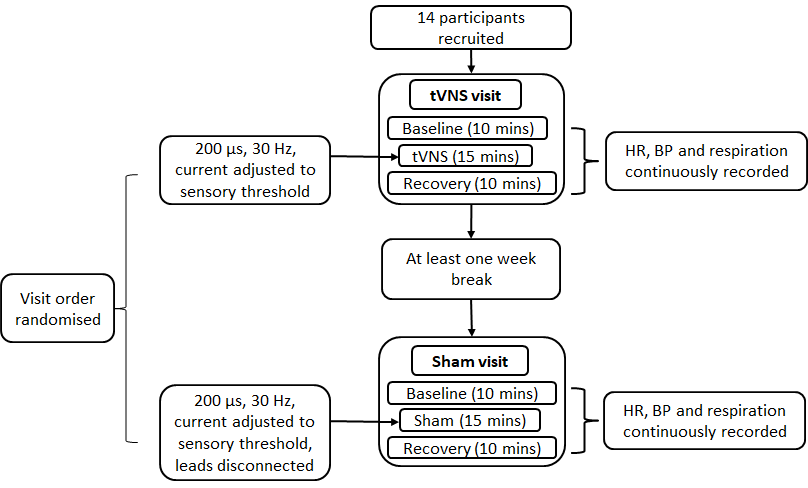 Procedure for study 1.