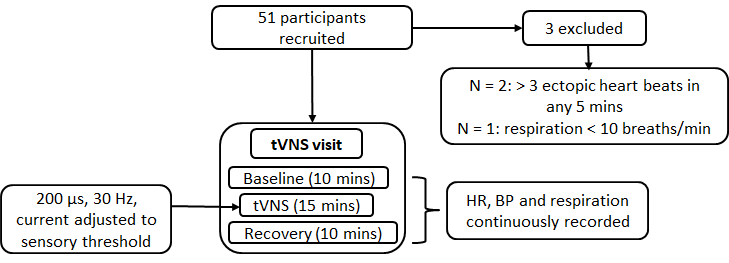 Procedure for study 2.