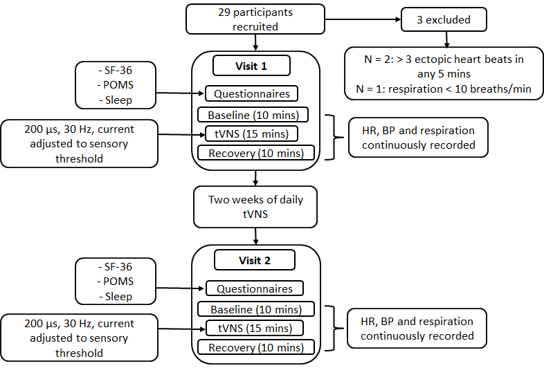 Procedure for study 3.