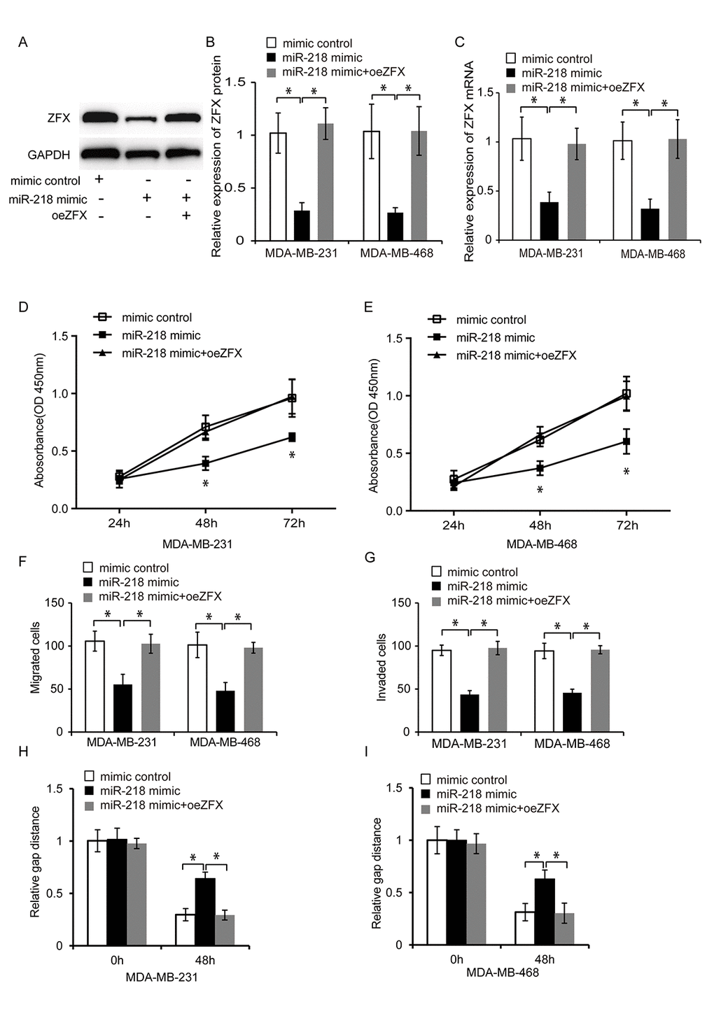 MiR-218 inhibits TNBC cell proliferation, migration, and invasion by inhibiting ZFX. (A) Representative western blot analysis of TNBC cells following transfection with a miRNA mimic control, miR-218 mimic, or miR-218 mimic plus oeZFX. (B) Western blot analysis of the relative ZFX protein expression in TNBC cells following transfection with a miRNA mimic control, miR-218 mimic, or miR-218 mimic plus oeZFX. (C) Relative expression of ZFX mRNA in TNBC cells following transfection with a miRNA mimic control, miR-218 mimic, or miR-218 mimic plus oeZFX. (D, E) Analysis of MDA-MB-231 and MDA-MB-468 cell proliferation following transfection with either a miRNA mimic control, miR-218 mimic, or miR-218 mimic plus oeZFX using CCK8 assays. (F, G) Analysis of the migration and invasion capacities of MDA-MB-231 and MDA-MB-468 cells transfected with a miRNA mimic control, miR-218 mimic, or miR-218 mimic plus oeZFX using transwell assays. (H, I) Analysis of the migration capacities of MDA-MB-231 and MDA-MB-468 cells transfected with a miRNA mimic control, miR-218 mimic, or miR-218 mimic plus oeZFX. *P 