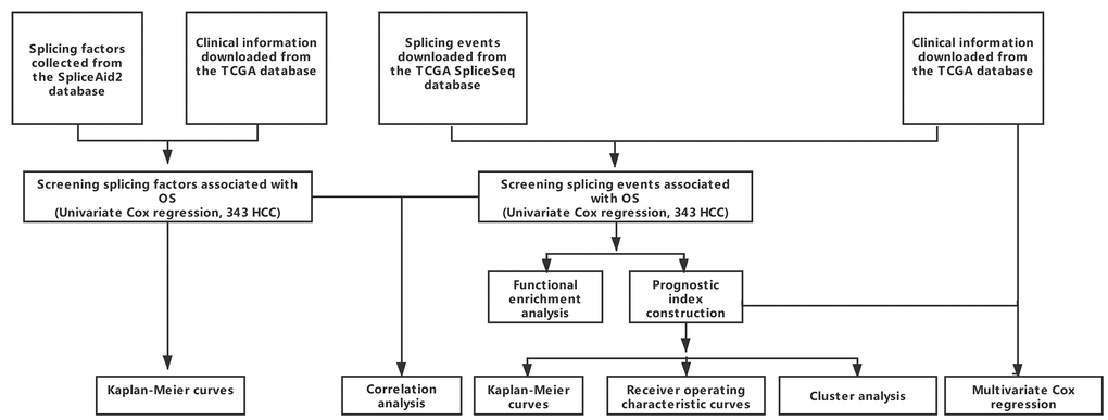 Overall study design.