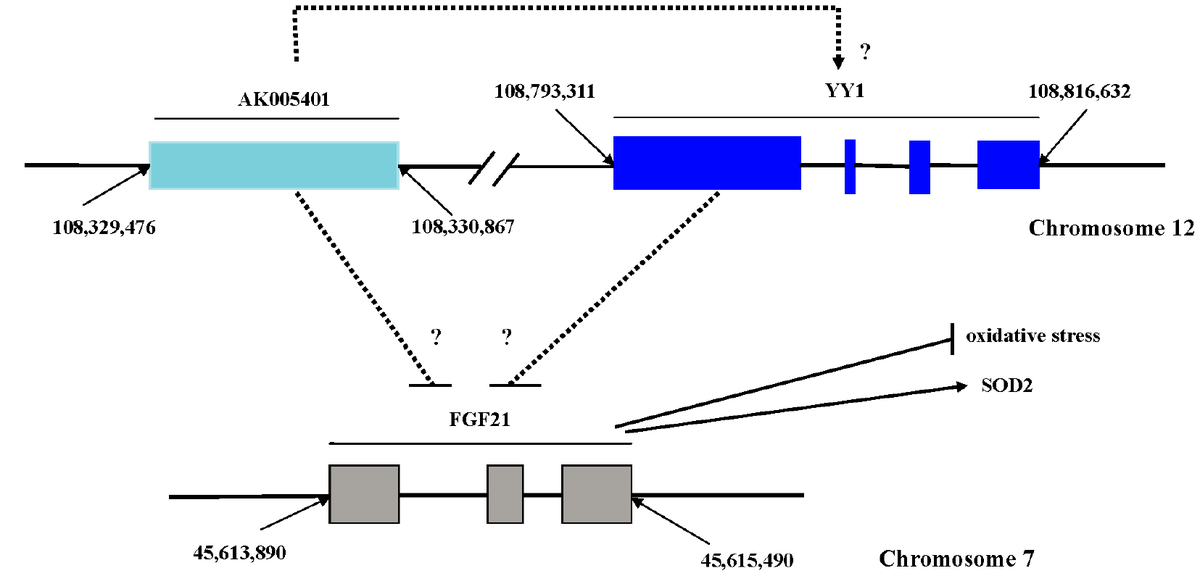 class="figure-viewer-img"