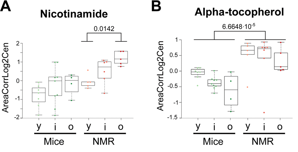 Vitamins that are elevated in naked mole-rats. Statistical comparisons were calculated by means of a two-sided Wilcoxon test. P-values are indicated.