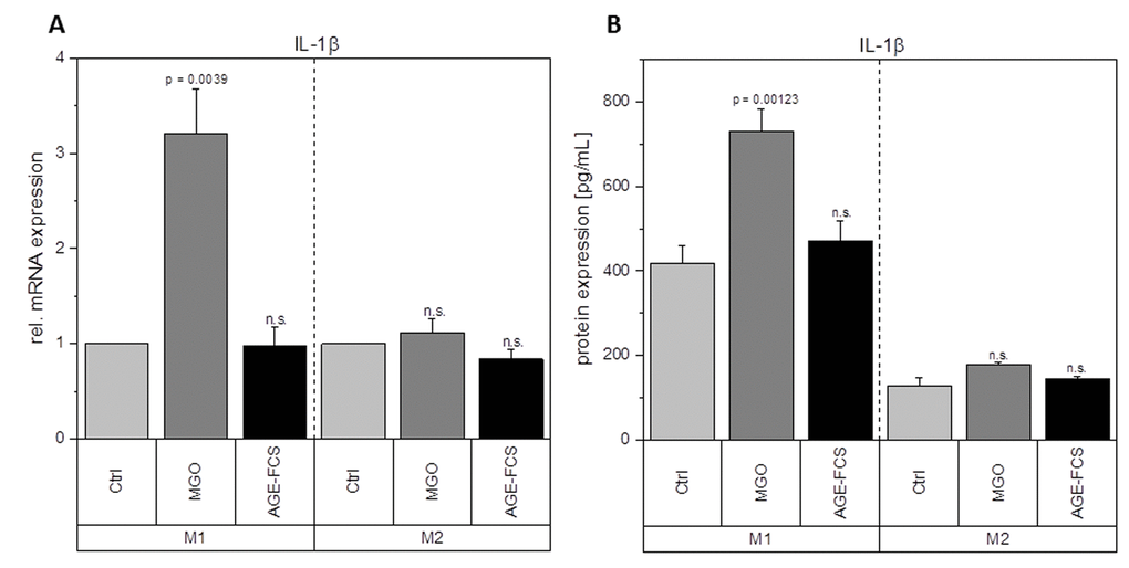 Expression of IL-1β after glycation. THP-1 macrophages were glycated with 1 mM MGO or treated with 10% AGE-FCS and polarized in M1 or M2 phenotype. Expression of IL-1β was quantified using qPCR (A). Data was normalized to untreated control cells. Graph shows average mean of relative mRNA expression + SD of 3 independent experiments. Protein secretion of IL-1β was quantified in the cell supernatant using cytometric bead array (B). Graph shows average mean of IL-1β concentration (in pg/mL) + SD of 3 independent experiments.